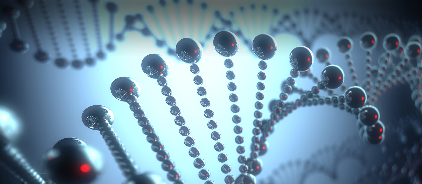 3D model of DNA strand